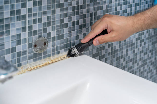 Best Mold Remediation for Specific Building Types in Ironde, AL
